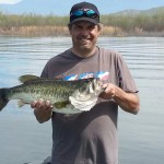 bkfish